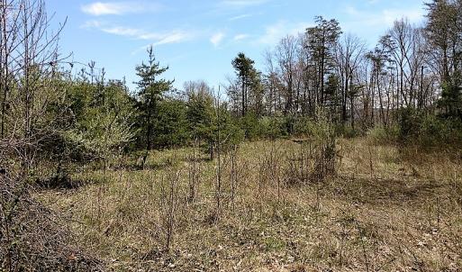 Photo of UNDER CONTRACT!  99 Acres of Hunting Land for Sale in Rockbridge County VA!