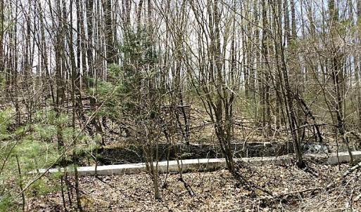 Photo of UNDER CONTRACT!  99 Acres of Hunting Land for Sale in Rockbridge County VA!