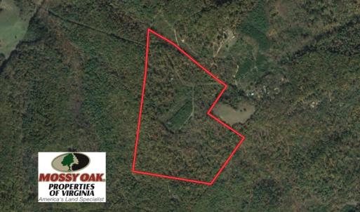 Photo of UNDER CONTRACT!  99 Acres of Hunting Land for Sale in Rockbridge County VA!