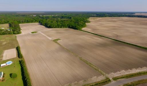 Photo of UNDER CONRACT!  36 Acres of Farm Land For Sale in Jones County NC!
