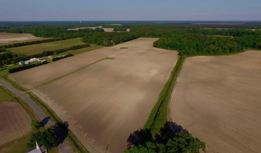 Photo of UNDER CONRACT!  36 Acres of Farm Land For Sale in Jones County NC!