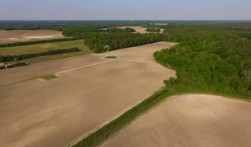 Photo of UNDER CONRACT!  36 Acres of Farm Land For Sale in Jones County NC!