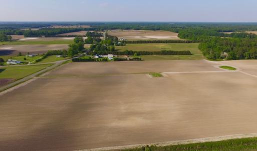 Photo of UNDER CONRACT!  36 Acres of Farm Land For Sale in Jones County NC!