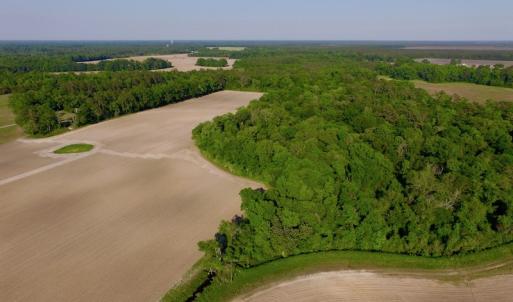 Photo of UNDER CONRACT!  36 Acres of Farm Land For Sale in Jones County NC!