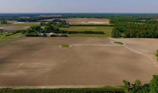Photo of UNDER CONRACT!  36 Acres of Farm Land For Sale in Jones County NC!