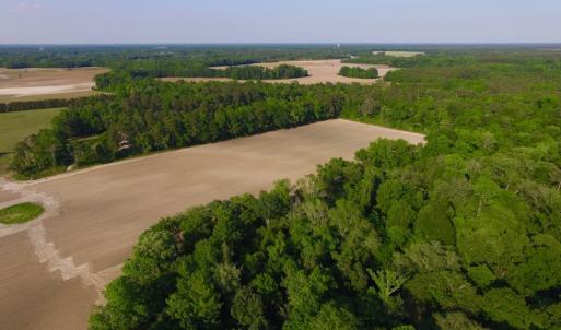 Photo of UNDER CONRACT!  36 Acres of Farm Land For Sale in Jones County NC!