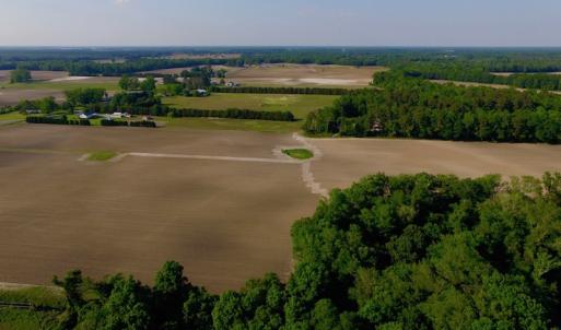 Photo of UNDER CONRACT!  36 Acres of Farm Land For Sale in Jones County NC!
