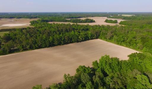 Photo of UNDER CONRACT!  36 Acres of Farm Land For Sale in Jones County NC!