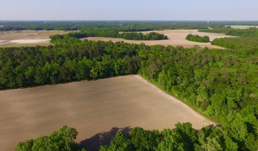 Photo of UNDER CONRACT!  36 Acres of Farm Land For Sale in Jones County NC!