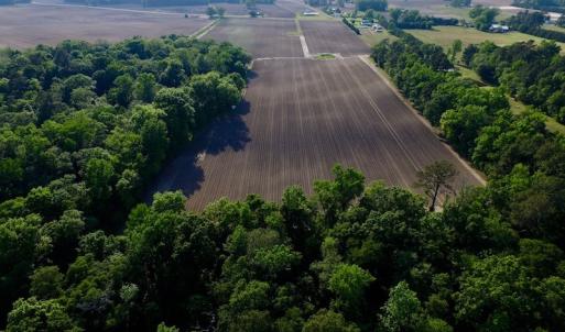 Photo of UNDER CONRACT!  36 Acres of Farm Land For Sale in Jones County NC!