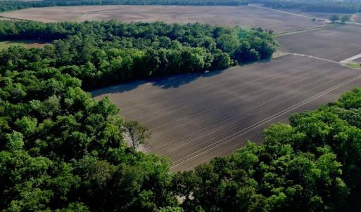 Photo of UNDER CONRACT!  36 Acres of Farm Land For Sale in Jones County NC!