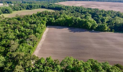 Photo of UNDER CONRACT!  36 Acres of Farm Land For Sale in Jones County NC!