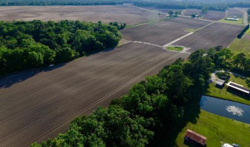 Photo of UNDER CONRACT!  36 Acres of Farm Land For Sale in Jones County NC!