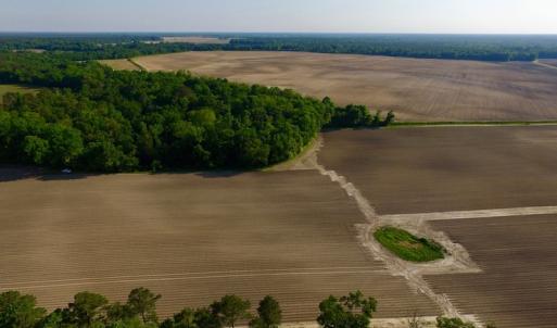 Photo of UNDER CONRACT!  36 Acres of Farm Land For Sale in Jones County NC!