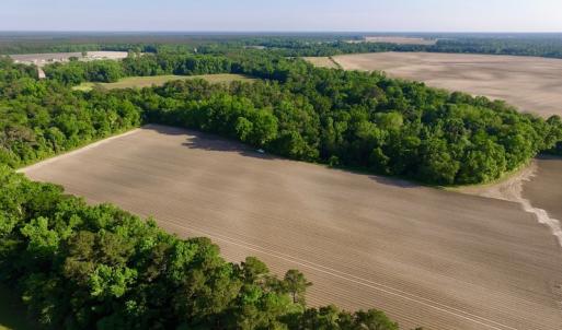 Photo of UNDER CONRACT!  36 Acres of Farm Land For Sale in Jones County NC!