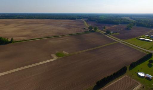 Photo of UNDER CONRACT!  36 Acres of Farm Land For Sale in Jones County NC!