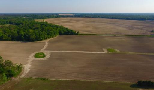 Photo of UNDER CONRACT!  36 Acres of Farm Land For Sale in Jones County NC!