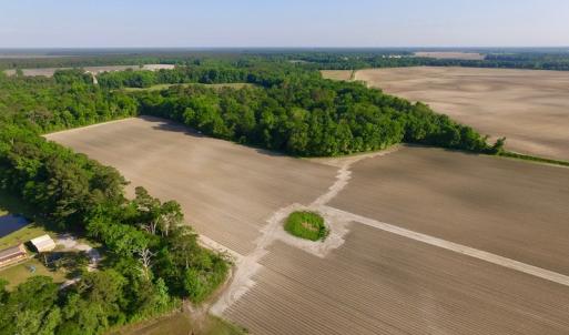 Photo of UNDER CONRACT!  36 Acres of Farm Land For Sale in Jones County NC!