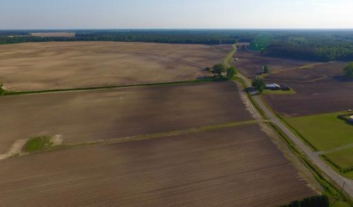 Photo of UNDER CONRACT!  36 Acres of Farm Land For Sale in Jones County NC!