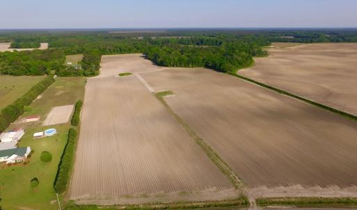 Photo of UNDER CONRACT!  36 Acres of Farm Land For Sale in Jones County NC!