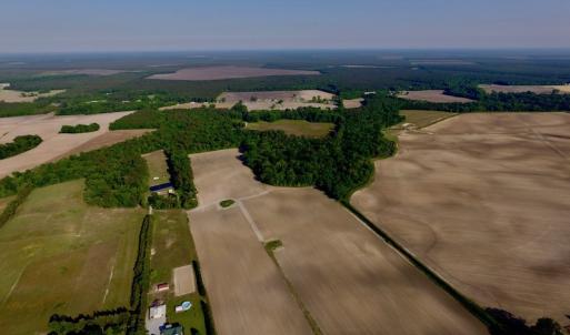 Photo of UNDER CONRACT!  36 Acres of Farm Land For Sale in Jones County NC!