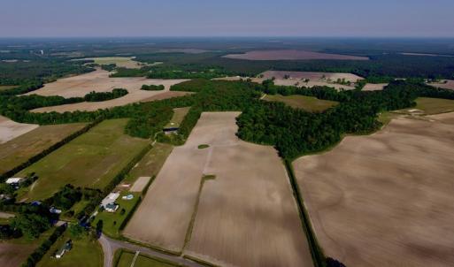 Photo of UNDER CONRACT!  36 Acres of Farm Land For Sale in Jones County NC!