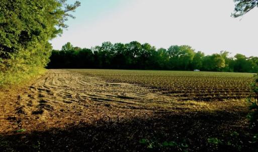 Photo of UNDER CONRACT!  36 Acres of Farm Land For Sale in Jones County NC!