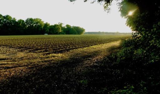 Photo of UNDER CONRACT!  36 Acres of Farm Land For Sale in Jones County NC!