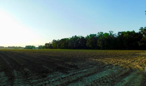 Photo of UNDER CONRACT!  36 Acres of Farm Land For Sale in Jones County NC!