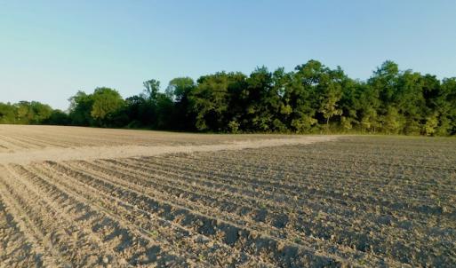 Photo of UNDER CONRACT!  36 Acres of Farm Land For Sale in Jones County NC!