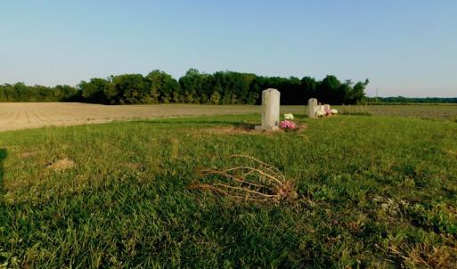 Photo of UNDER CONRACT!  36 Acres of Farm Land For Sale in Jones County NC!
