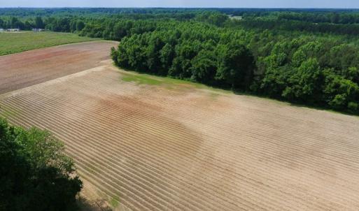 Photo of UNDER CONTRACT!  22.63 Acres of Farm and Hunting Land For Sale in Wilson County NC!
