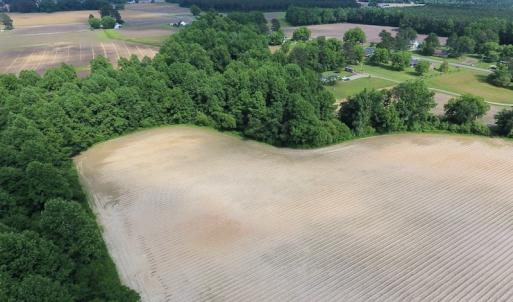 Photo of UNDER CONTRACT!  22.63 Acres of Farm and Hunting Land For Sale in Wilson County NC!