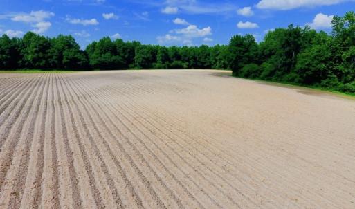 Photo of UNDER CONTRACT!  22.63 Acres of Farm and Hunting Land For Sale in Wilson County NC!