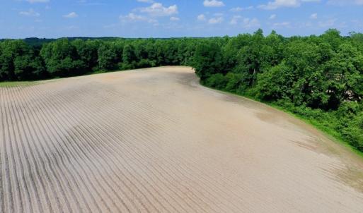 Photo of UNDER CONTRACT!  22.63 Acres of Farm and Hunting Land For Sale in Wilson County NC!
