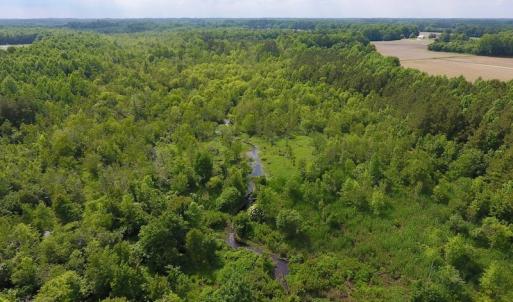 Photo of UNDER CONTRACT!  22.63 Acres of Farm and Hunting Land For Sale in Wilson County NC!