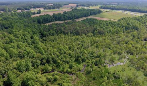 Photo of UNDER CONTRACT!  22.63 Acres of Farm and Hunting Land For Sale in Wilson County NC!