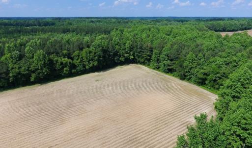 Photo of UNDER CONTRACT!  22.63 Acres of Farm and Hunting Land For Sale in Wilson County NC!