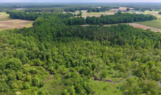 Photo of UNDER CONTRACT!  22.63 Acres of Farm and Hunting Land For Sale in Wilson County NC!