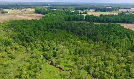 Photo of UNDER CONTRACT!  22.63 Acres of Farm and Hunting Land For Sale in Wilson County NC!