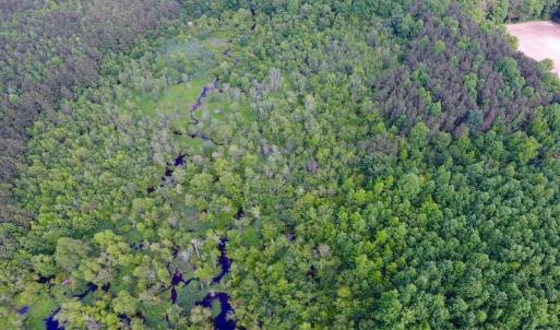Photo of UNDER CONTRACT!  22.63 Acres of Farm and Hunting Land For Sale in Wilson County NC!