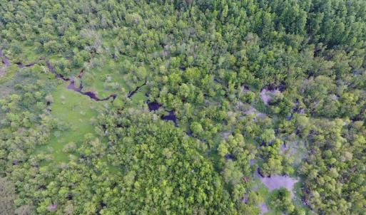 Photo of UNDER CONTRACT!  22.63 Acres of Farm and Hunting Land For Sale in Wilson County NC!