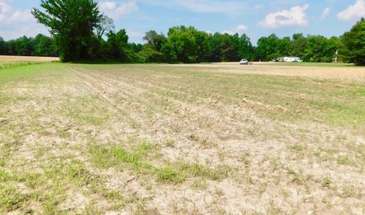 Photo of UNDER CONTRACT!  22.63 Acres of Farm and Hunting Land For Sale in Wilson County NC!