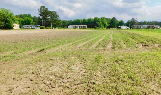 Photo of UNDER CONTRACT!  22.63 Acres of Farm and Hunting Land For Sale in Wilson County NC!