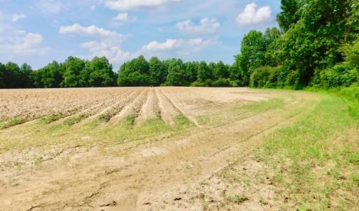 Photo of UNDER CONTRACT!  22.63 Acres of Farm and Hunting Land For Sale in Wilson County NC!
