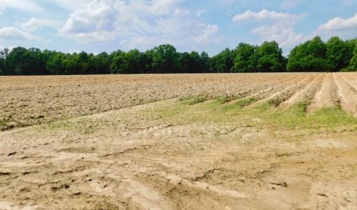 Photo of UNDER CONTRACT!  22.63 Acres of Farm and Hunting Land For Sale in Wilson County NC!