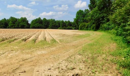 Photo of UNDER CONTRACT!  22.63 Acres of Farm and Hunting Land For Sale in Wilson County NC!