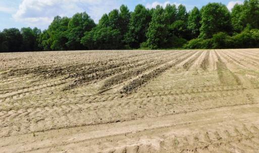 Photo of UNDER CONTRACT!  22.63 Acres of Farm and Hunting Land For Sale in Wilson County NC!