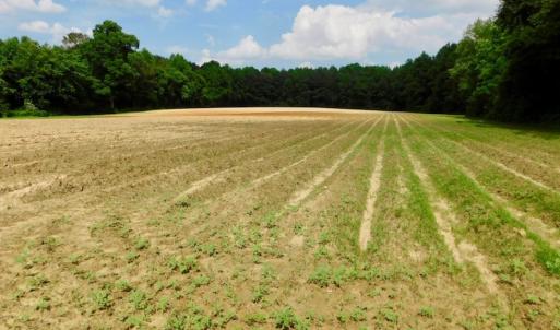 Photo of UNDER CONTRACT!  22.63 Acres of Farm and Hunting Land For Sale in Wilson County NC!
