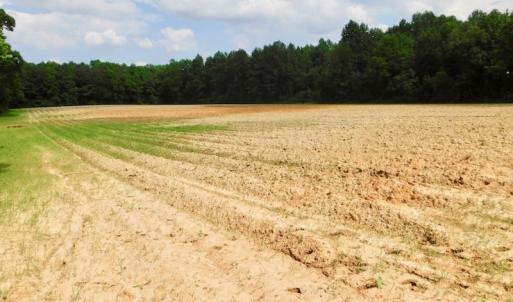 Photo of UNDER CONTRACT!  22.63 Acres of Farm and Hunting Land For Sale in Wilson County NC!